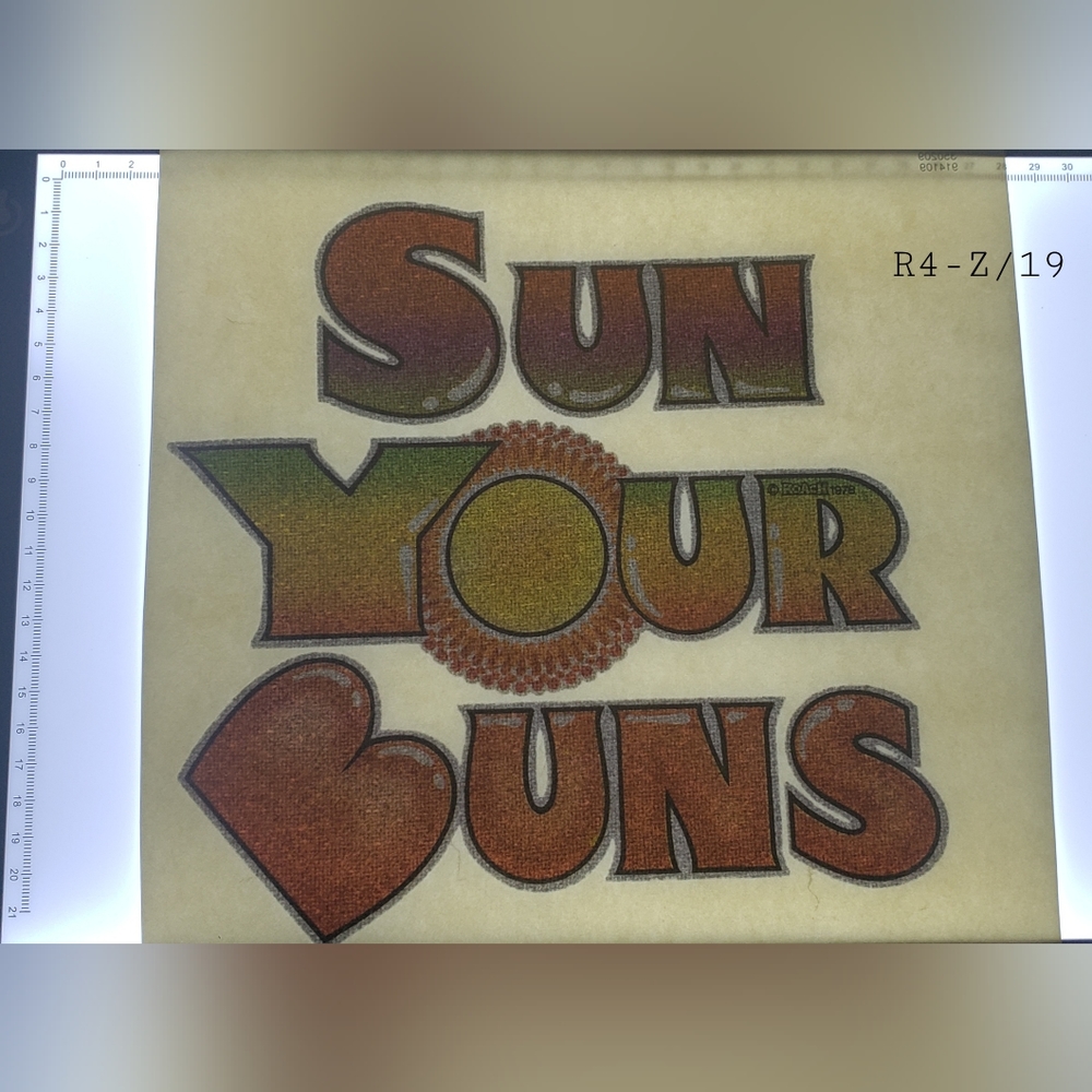 Vintage Heat Transfer Sun Your Buns 1970s Rare